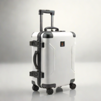 BriteGuard Portable Safe