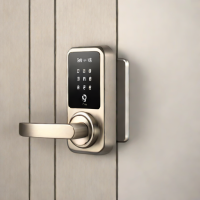 Brotherwood Smart Lock