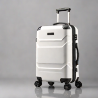 Bagsmart Hardshell Luggage