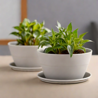 Bloem Plastic Saucer Pots