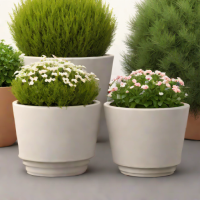 Bloem Clay Cache Pots