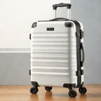 Bagsmart Spinner Suitcase