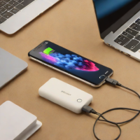Belkin BoostCharge Power Bank 10000