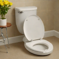 Bemis 1000 Slow-Close Toilet Seat