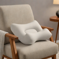 Bretman Lumbar Support Pillow