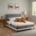 Bear Smart Bed