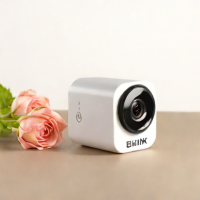 Blink Mini 2