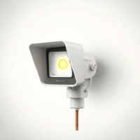 Blink Wired Floodlight Camera