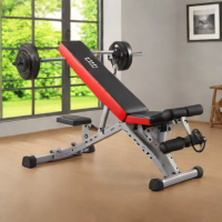 Bowflex 5.10 Adjustable Bench