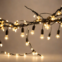 BrightEZ LED String Lights