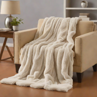 Brookstone Heated Throw