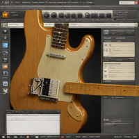 Custom Guitar from Fender's Custom Shop