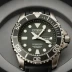 Citizen Promaster Diver 300m Titanium