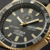Citizen Promaster Eco-Drive World Time