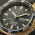 Citizen Promaster Eco-Drive World Time
