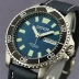 Citizen Promaster Diver BN0310-03L