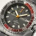 Citizen Promaster GMT Watch