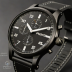 Citizen Promaster Pilot Black