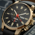 Citizen Eco-Drive GMT Field Watch
