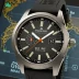 Citizen Eco-Drive GMT Field Watch
