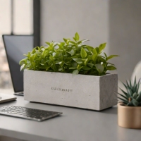 Concrete Planters
