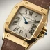 Cartier Santos de Cartier