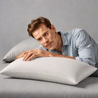 Casper Original Pillow