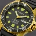 Citizen Promaster Diver BN0222-03E