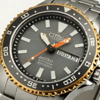 Citizen Promaster Solar GMT