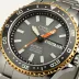 Citizen Promaster Solar GMT