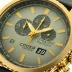 Citizen Eco-Drive Garisson Pilot Analog