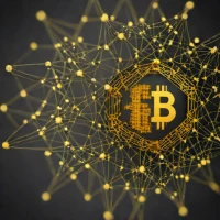 CryptoMesh Pro