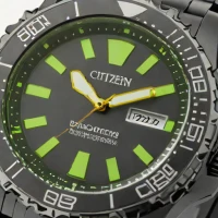 Citizen Eco-Drive Promaster Diver 200m (Black)
