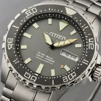 Citizen Eco-Drive Promaster Diver (Gray Dial)
