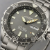 Citizen Eco-Drive Promaster Diver (Gray Dial)