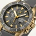 Citizen Promaster Chronomaster