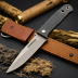 Condor Bushlore