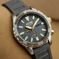 Citizen Promaster Tritium Field Watch