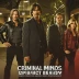 Criminal Minds: Suspect Behavior