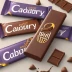 Cadbury Twirl Chocolate Bar 43g