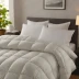 Casaluna Premium Down Alternative Comforter