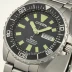 Citizen Promaster Diver BN0150