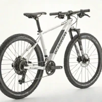 Cannondale Tesoro Neo X 1