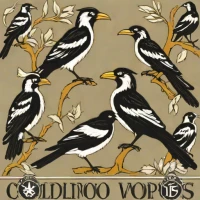 Collingwood Magpies