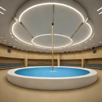 Chusovitina Vault