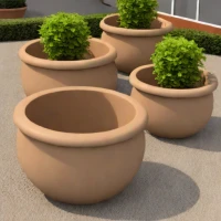 Corbetti Mudpots