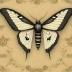 Clymene moth