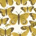 Chinese character moth