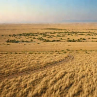 Chuy Steppe (Chuya Steppe)