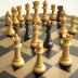 Checkless Chess